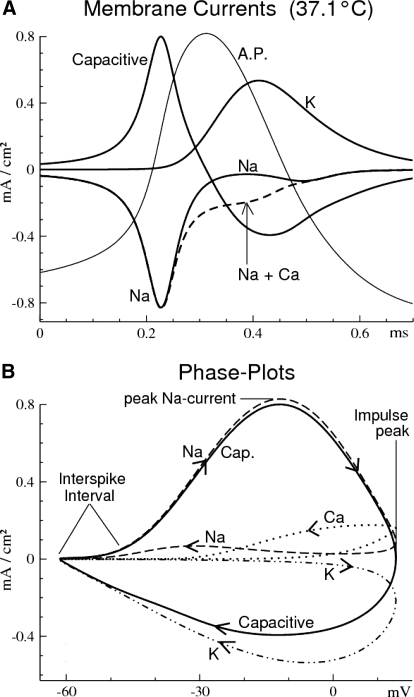 Fig. 3.