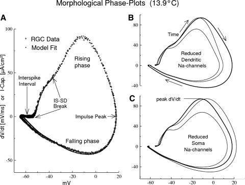 Fig. 4.