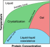 Representation of the thermodynamic states of globular proteins in a temperature-concentration diagram. The solubility and gelation curves indicate the transitions between liquid to crystal phases and between crystal to gel phases, respectively. The binodal curve represents the boundary for the equilibrium between crystal, gel and two different liquid phases.