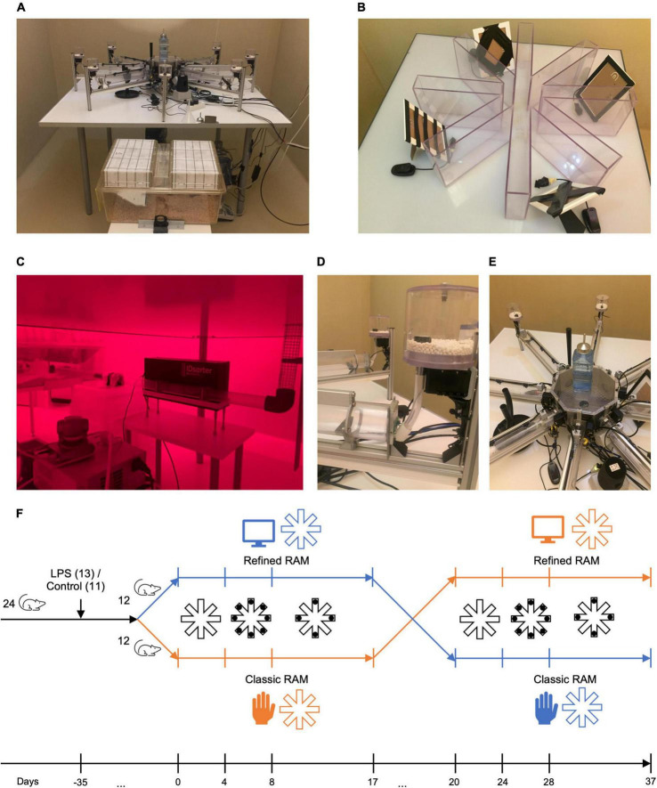 FIGURE 1