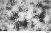 FIG. 8.