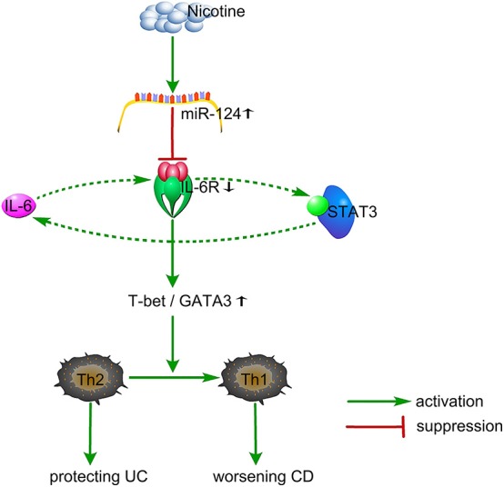 Figure 6