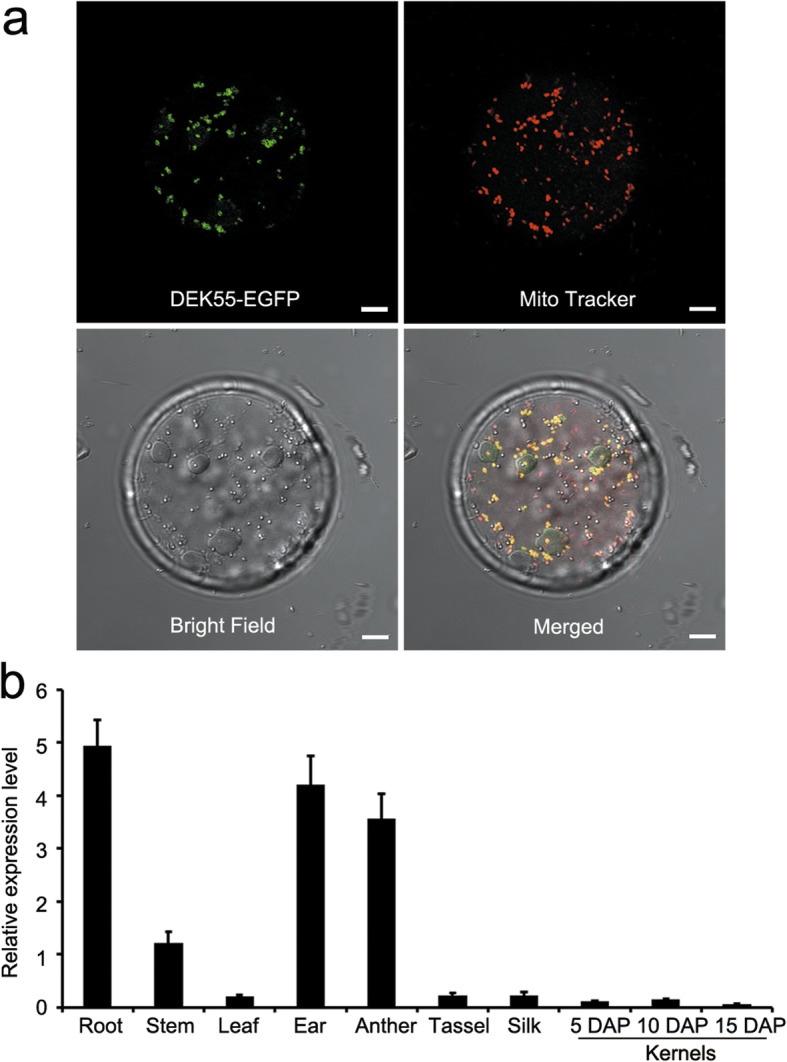 Fig. 3