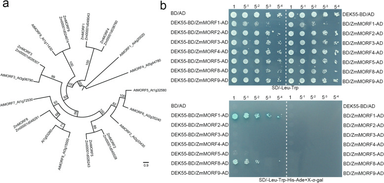 Fig. 7