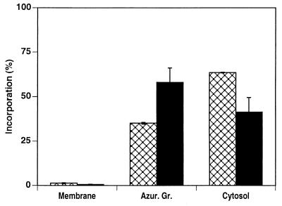 FIG. 7