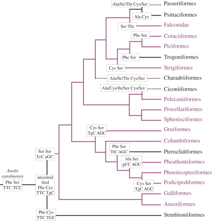 Figure 3.