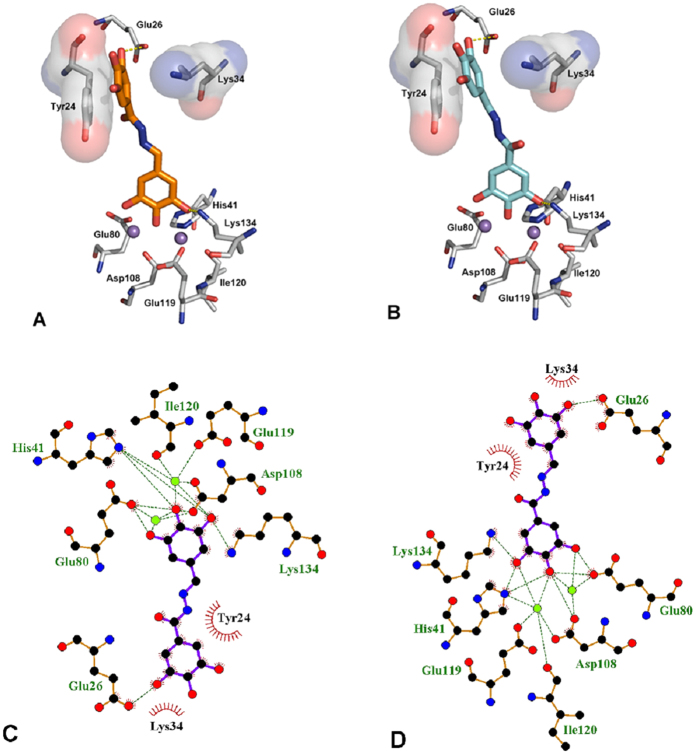 Figure 5