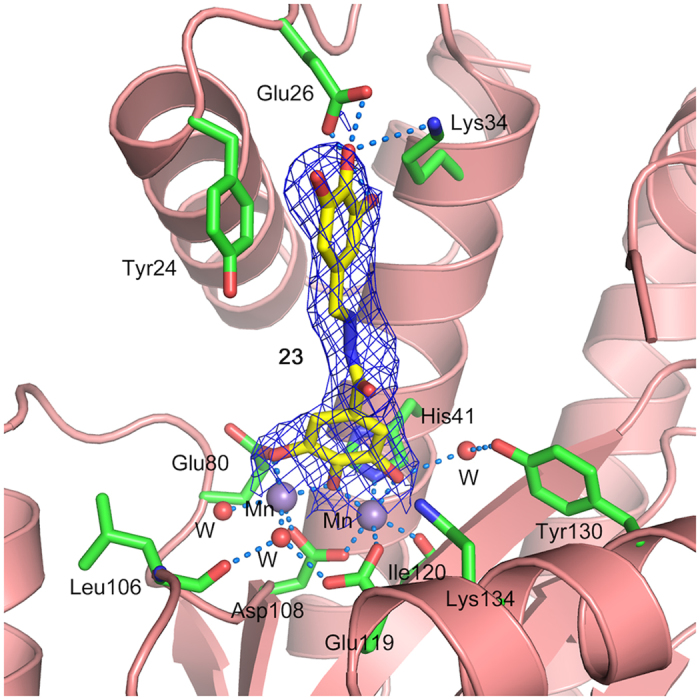 Figure 7