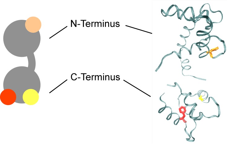 Fig 2