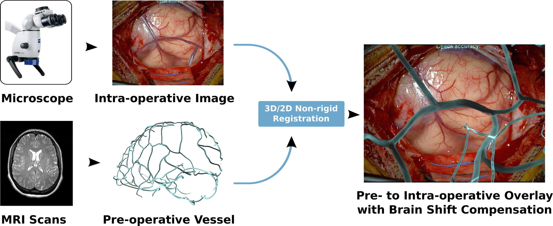 Figure 1: