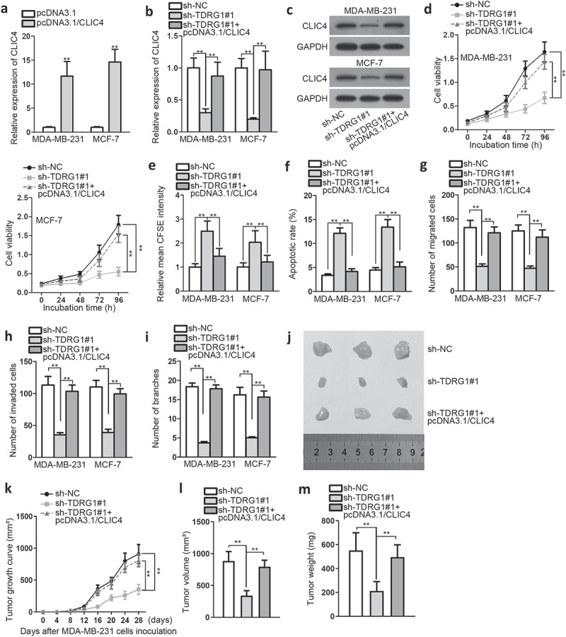 Figure4.