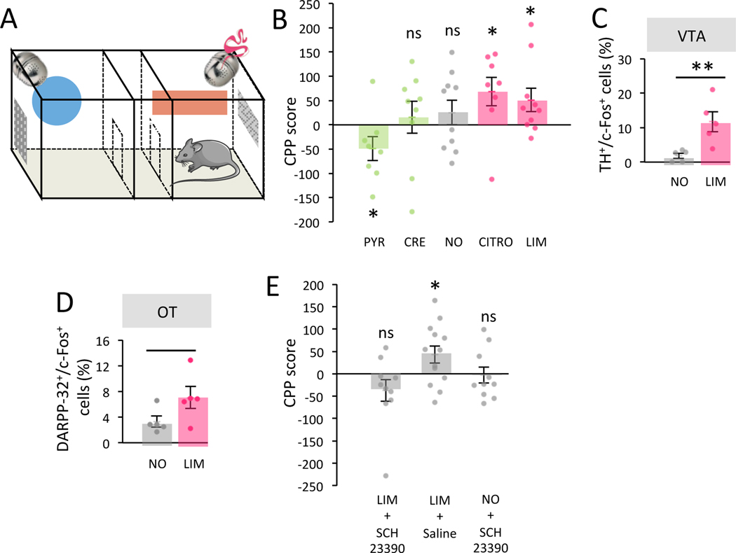 Figure 5.