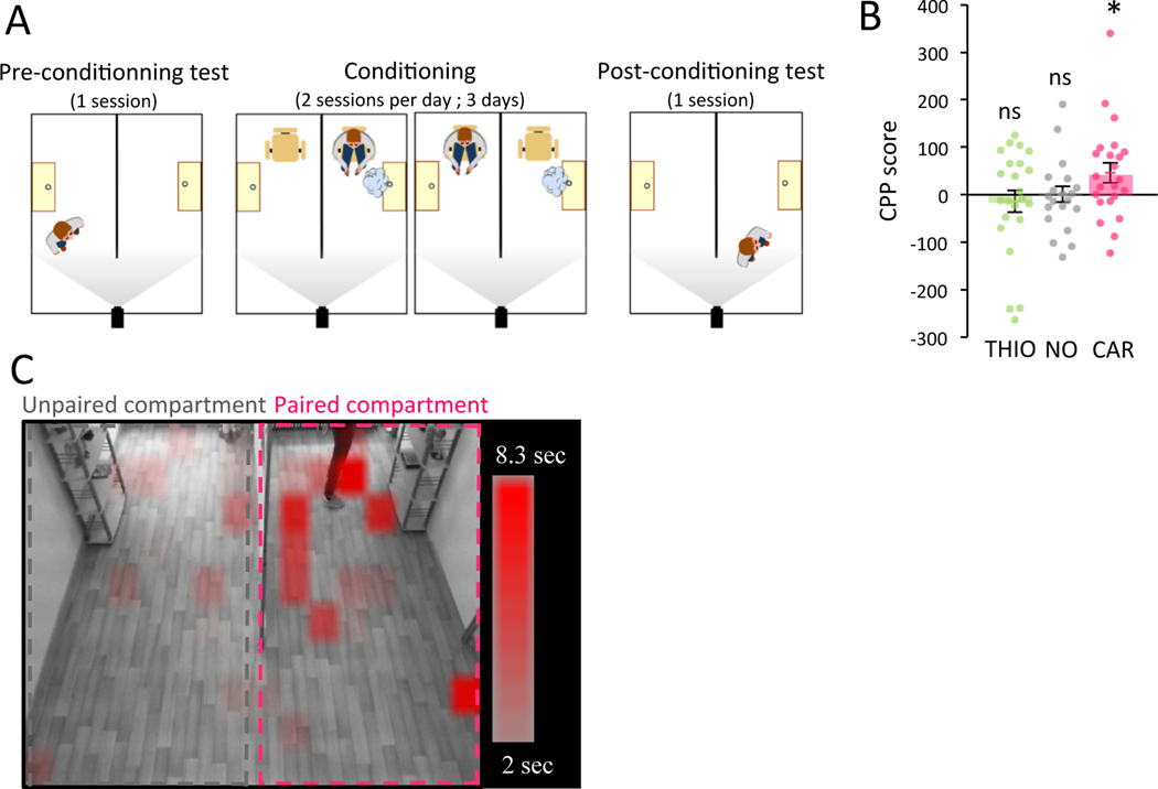 Figure 6: