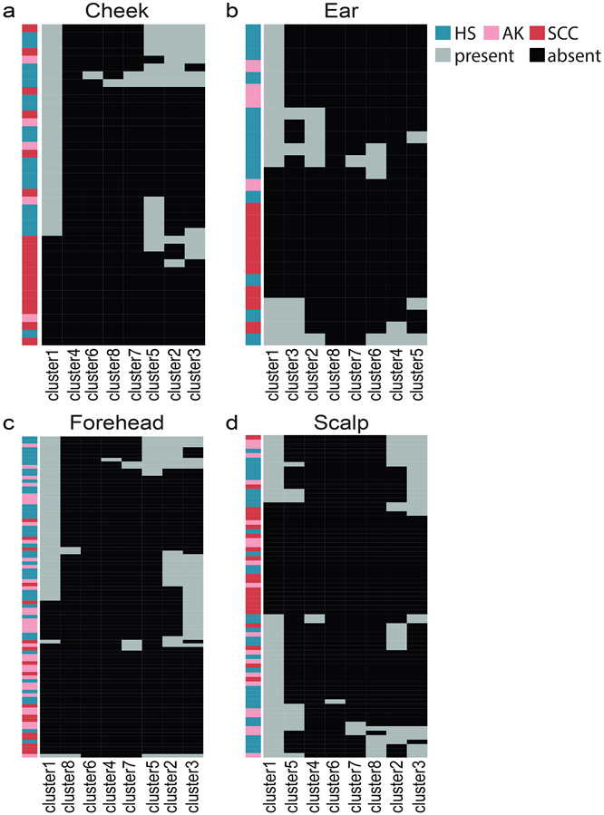 Figure 4: