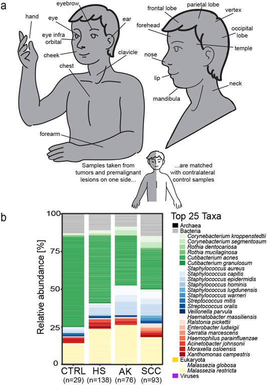 Figure 1: