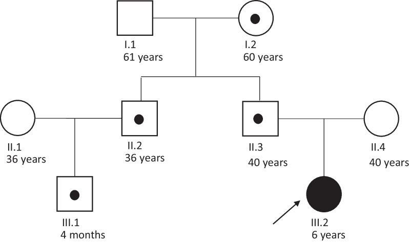 Fig. 3