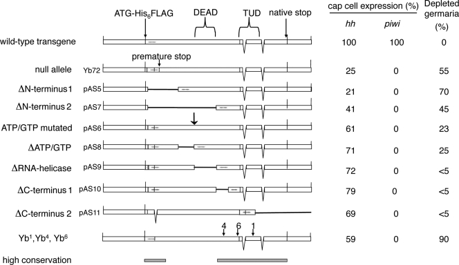 Figure 6.