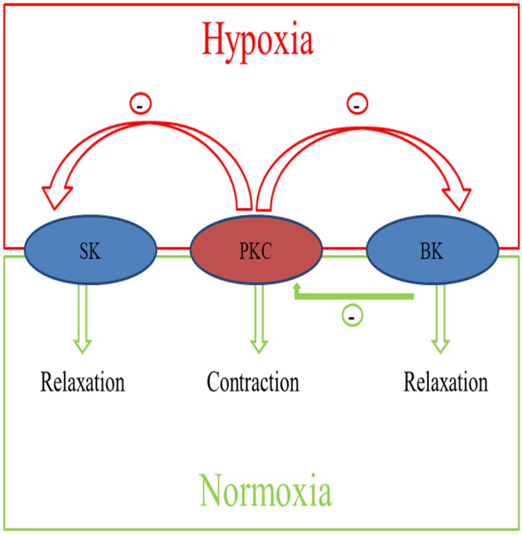 Figure 7