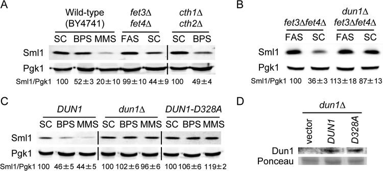 FIG 1