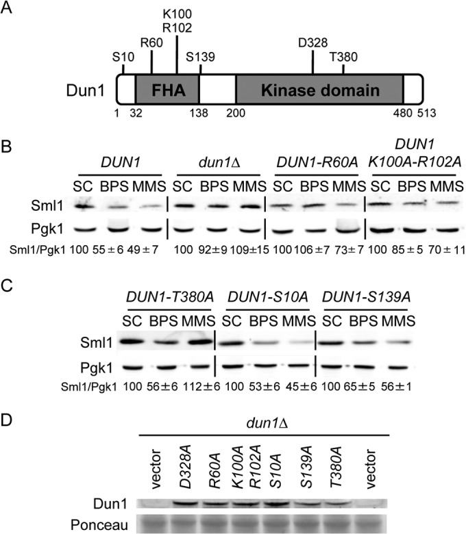 FIG 2