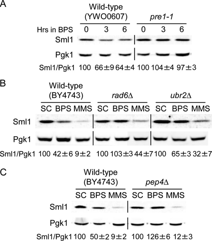 FIG 4