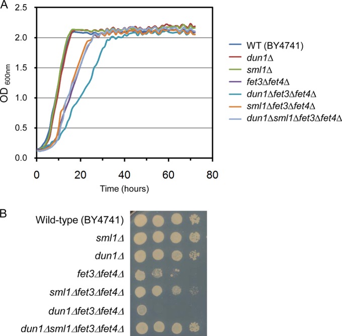 FIG 6