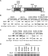 FIG 2