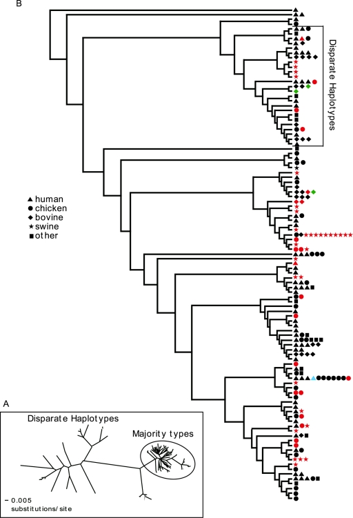 FIG. 1.