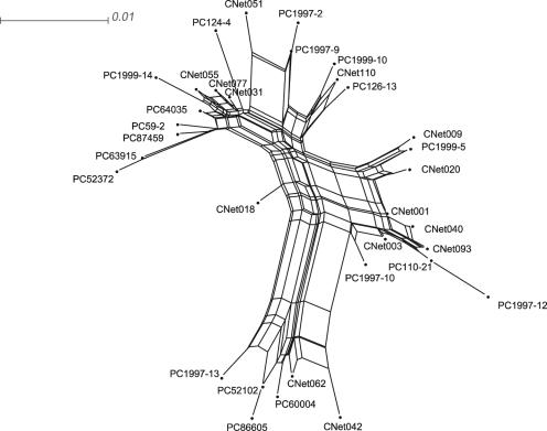 FIG. 2.