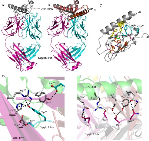 FIGURE 4.