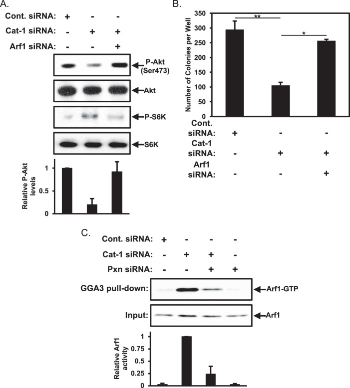 FIGURE 10.