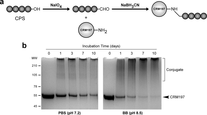 FIG 1