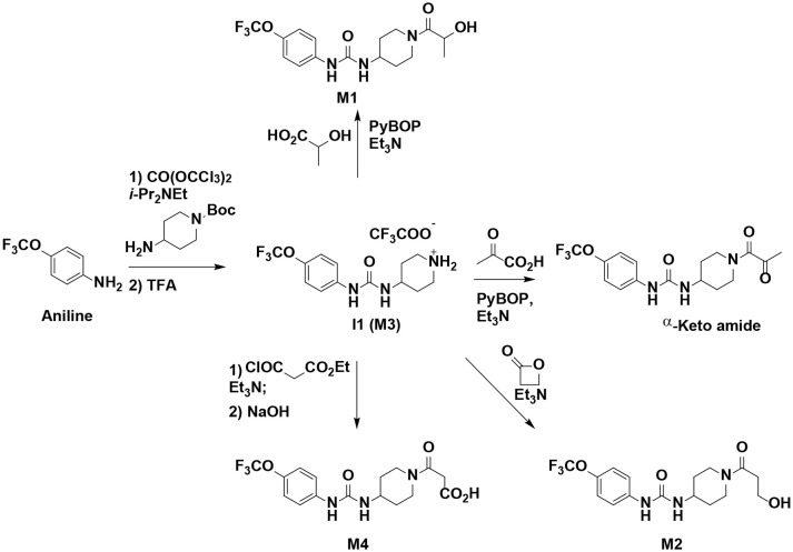 Scheme 1