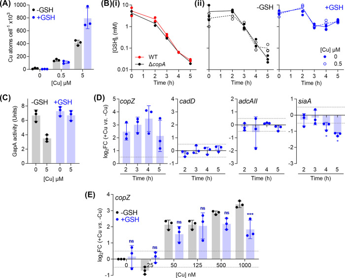 FIG 6