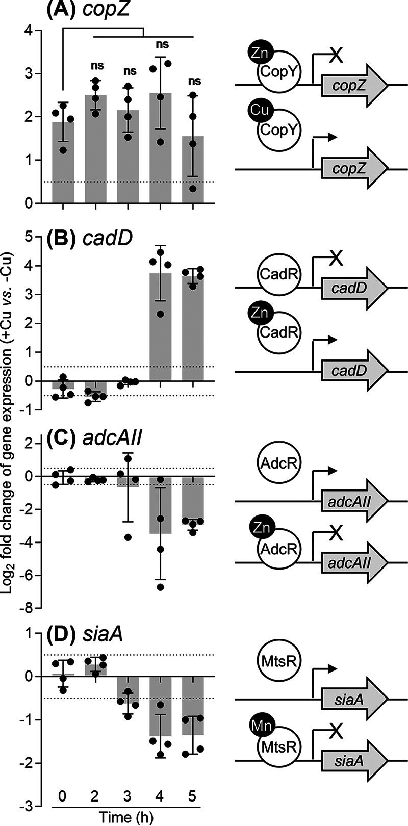 FIG 4