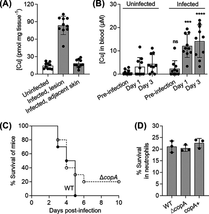 FIG 1