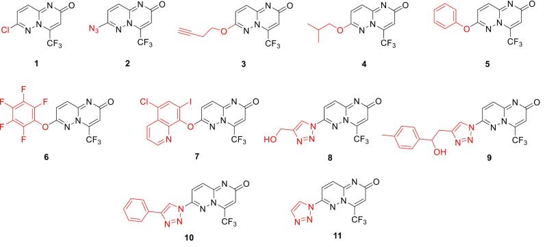 Fig. 1