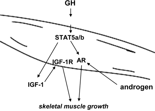 Figure 7.