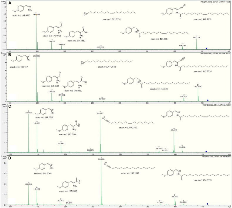 FIGURE 4