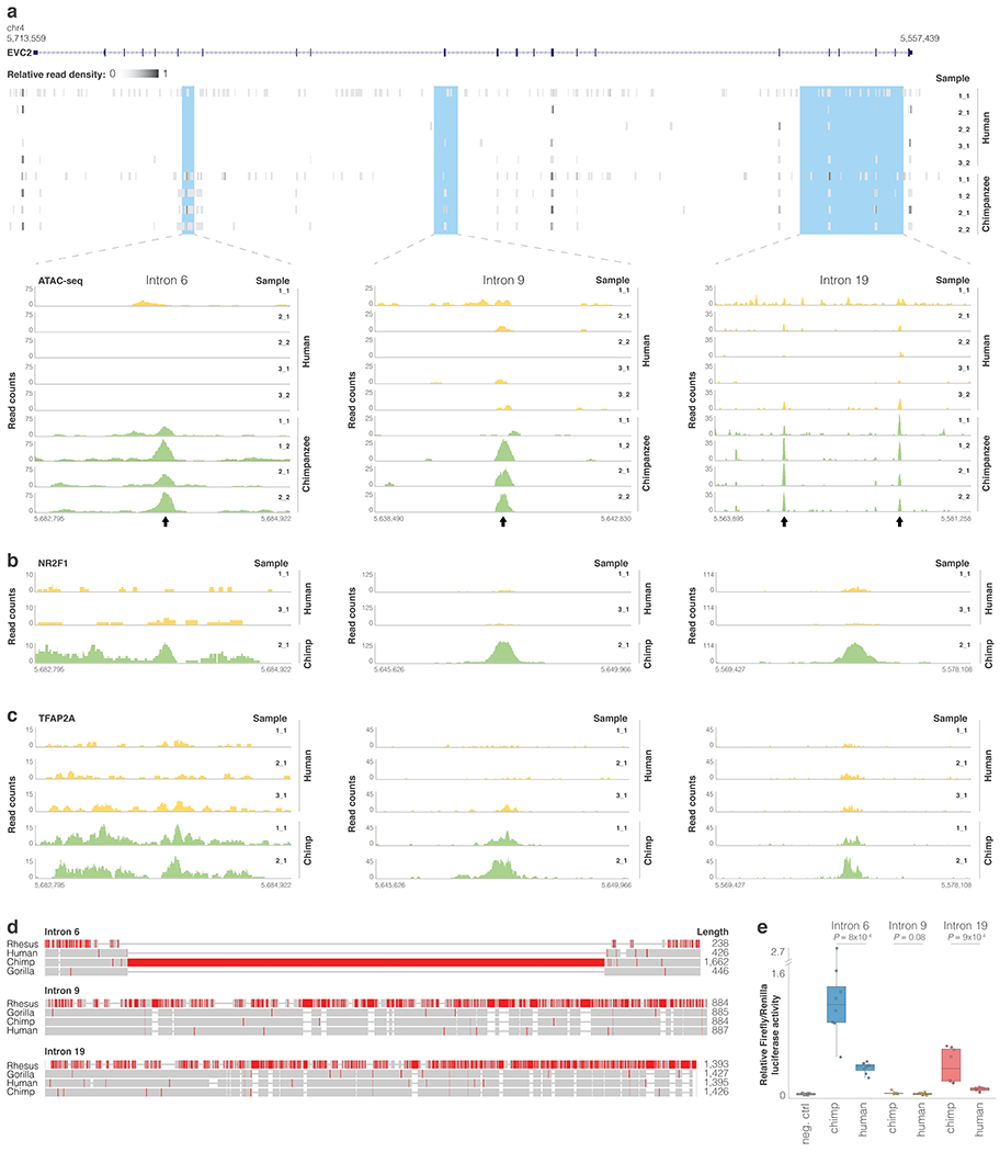 Extended Data Fig. 4