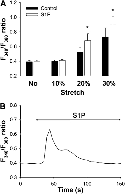 Figure 6.