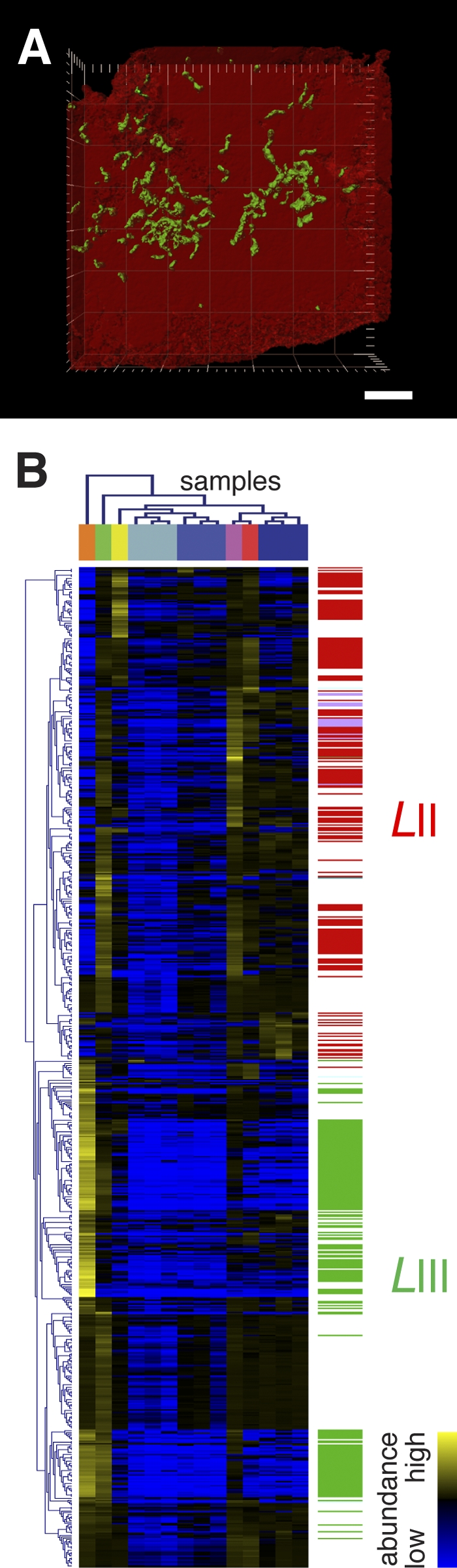 FIG 1 