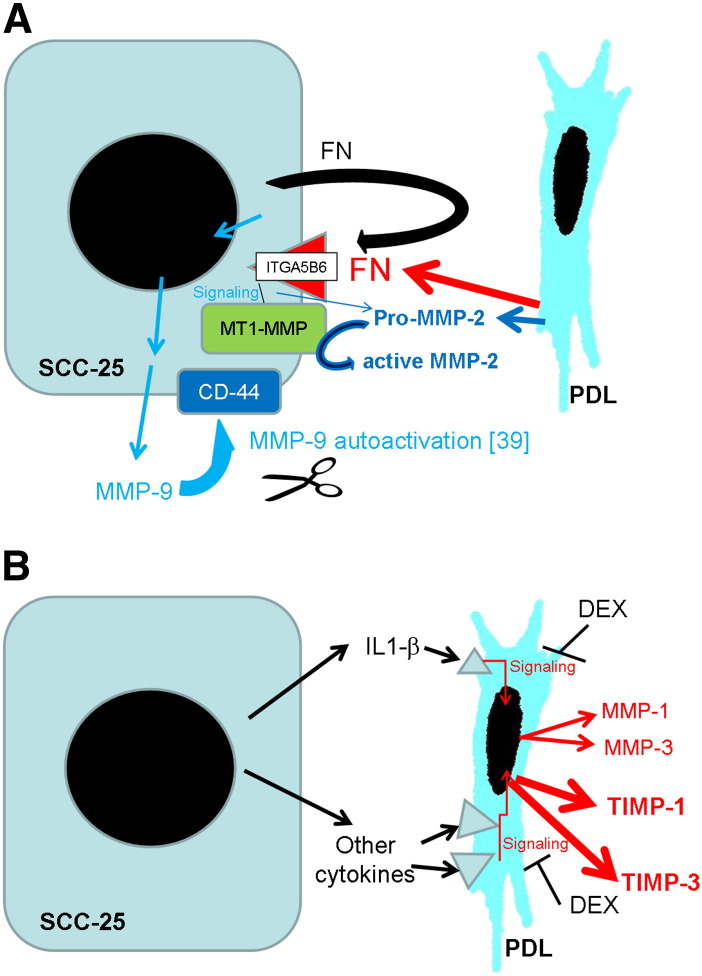 Fig. 1