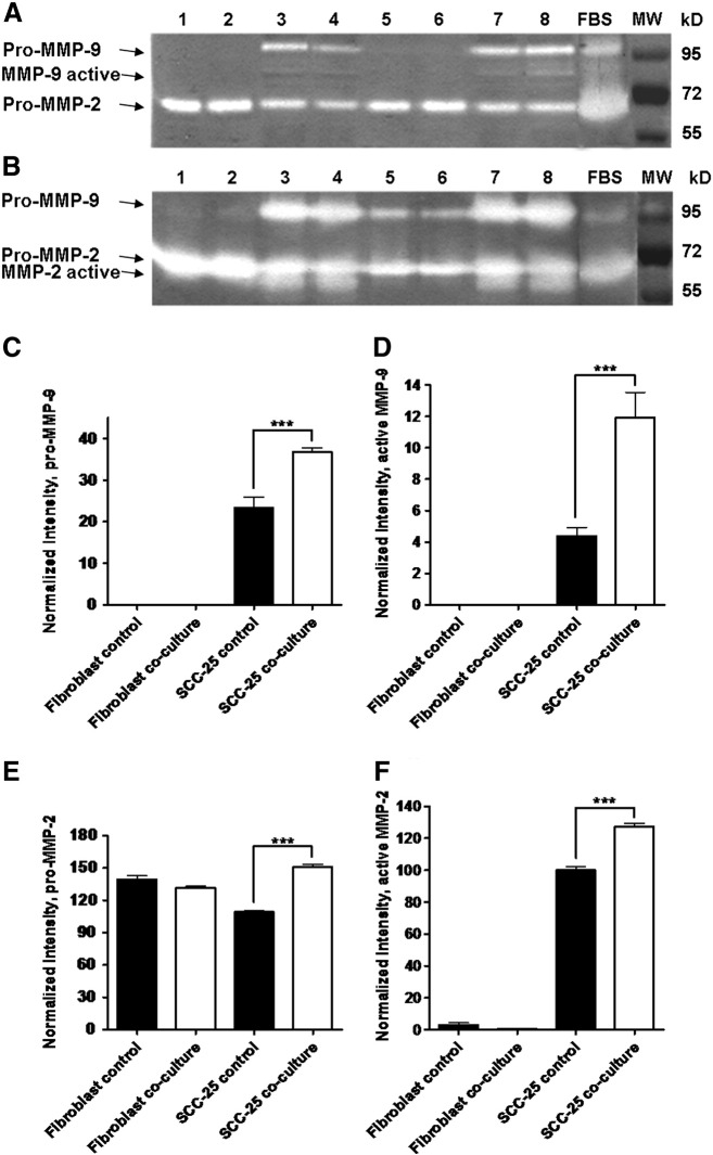 Fig. 6