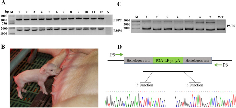 Fig. 2