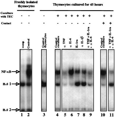 FIG. 5