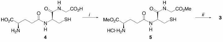 Scheme 2