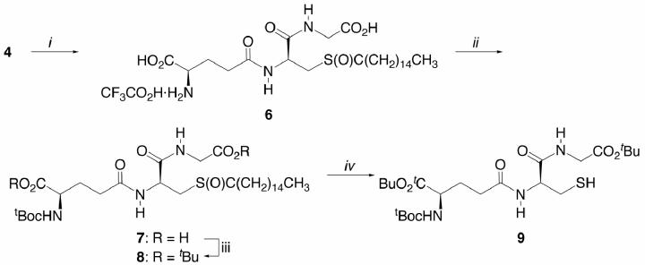 Scheme 3