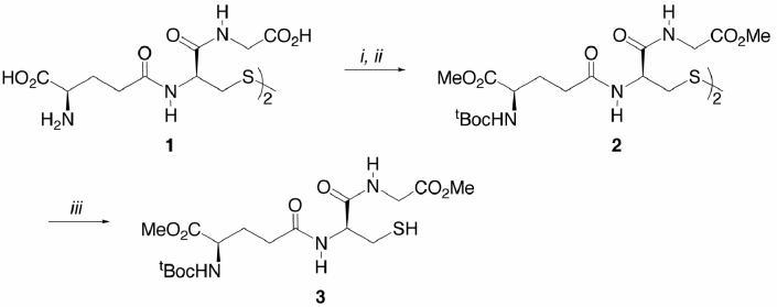 Scheme 1