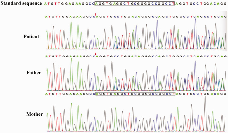 Figure 4.